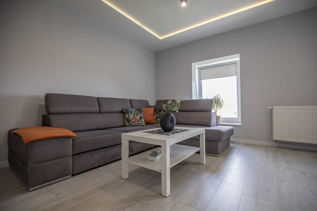 Mieszkanie,Centrum,49m²,po Kapitalnym Remoncie - zdjęcie 2