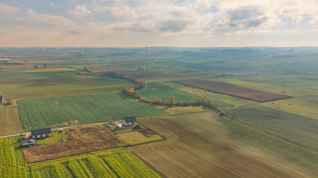 Działka budowlana 1539 m² z warunkami zabudowy - zdjęcie 6