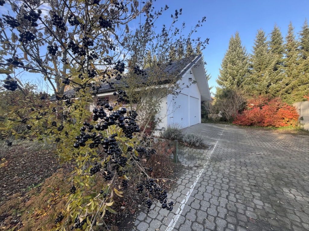 Działka z garażem i potencjałem na wymarzony dom - zdjęcie 3