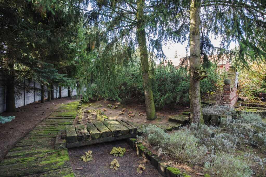 Dzień Pokazowy sobota 14.03. - zdjęcie 33