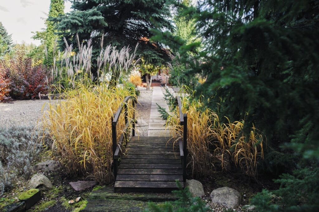 Dzień Pokazowy sobota 14.03. - zdjęcie 34