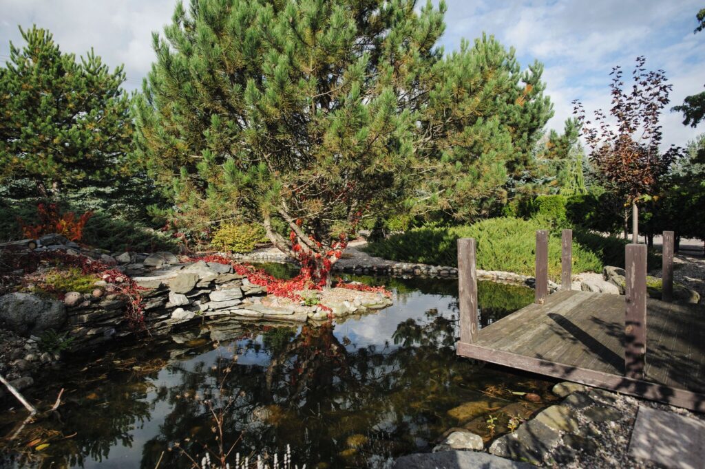 Dzień Pokazowy sobota 14.03. - zdjęcie 36