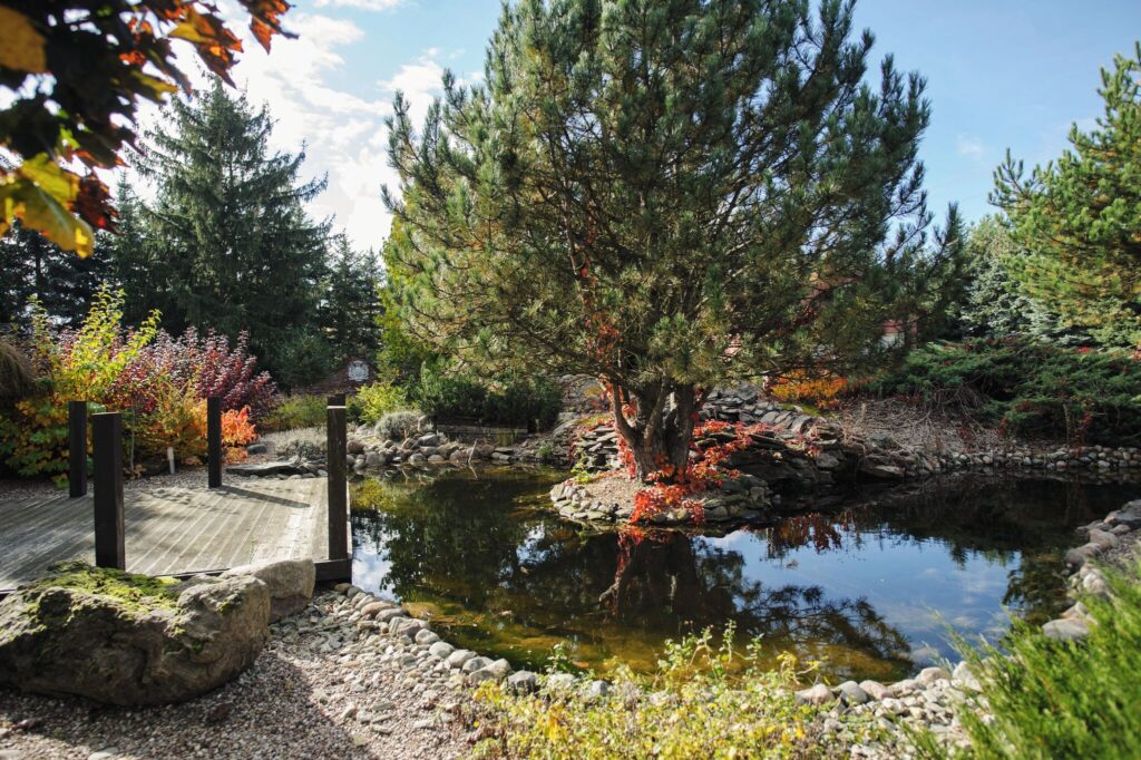 Dzień Pokazowy sobota 14.03. - zdjęcie 37