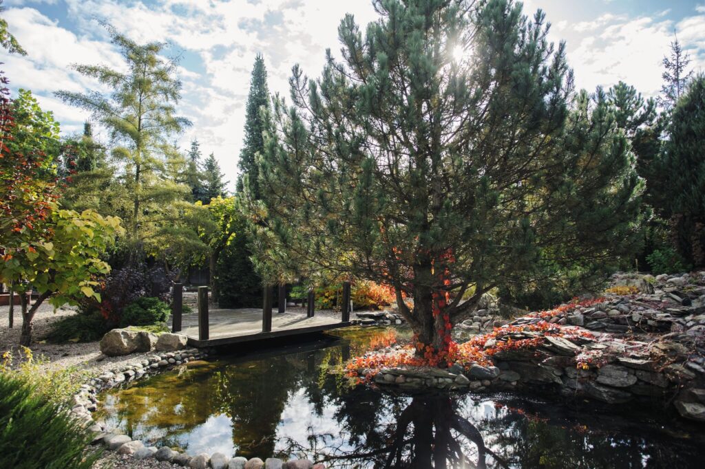 Dzień Pokazowy sobota 14.03. - zdjęcie 38