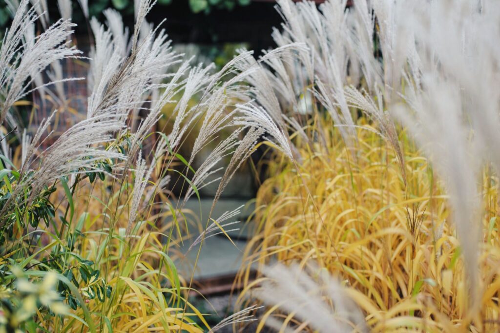 Dzień Pokazowy sobota 14.03. - zdjęcie 40