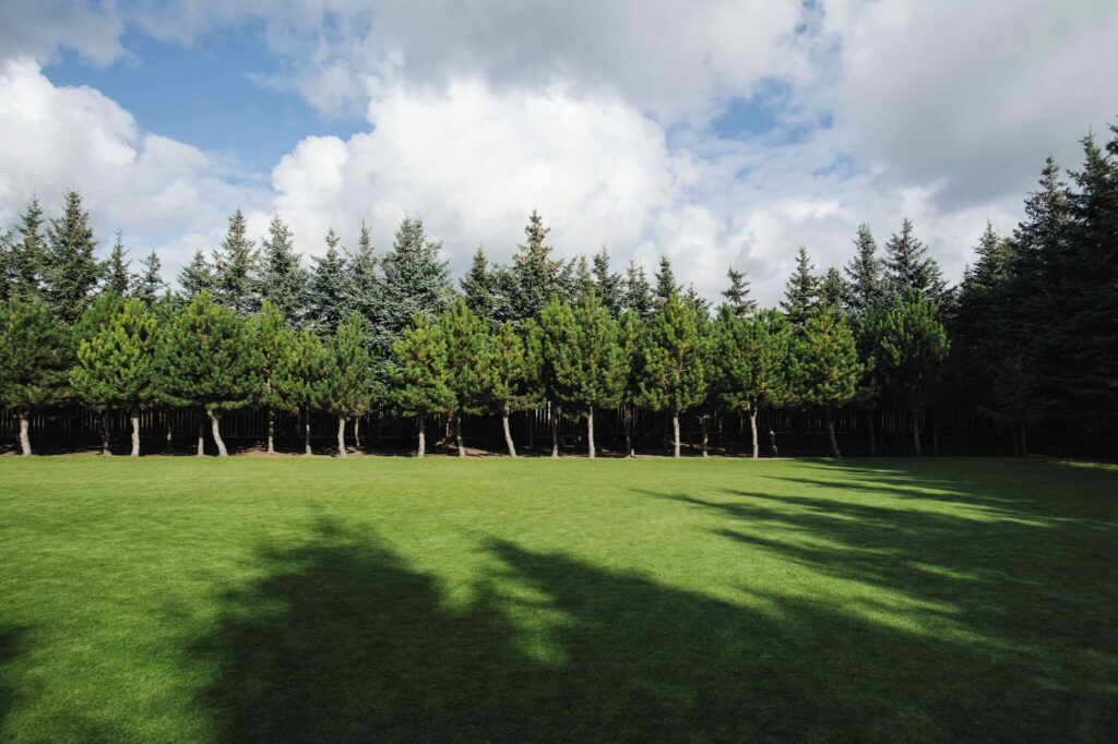 Dzień Pokazowy sobota 14.03. - zdjęcie 44