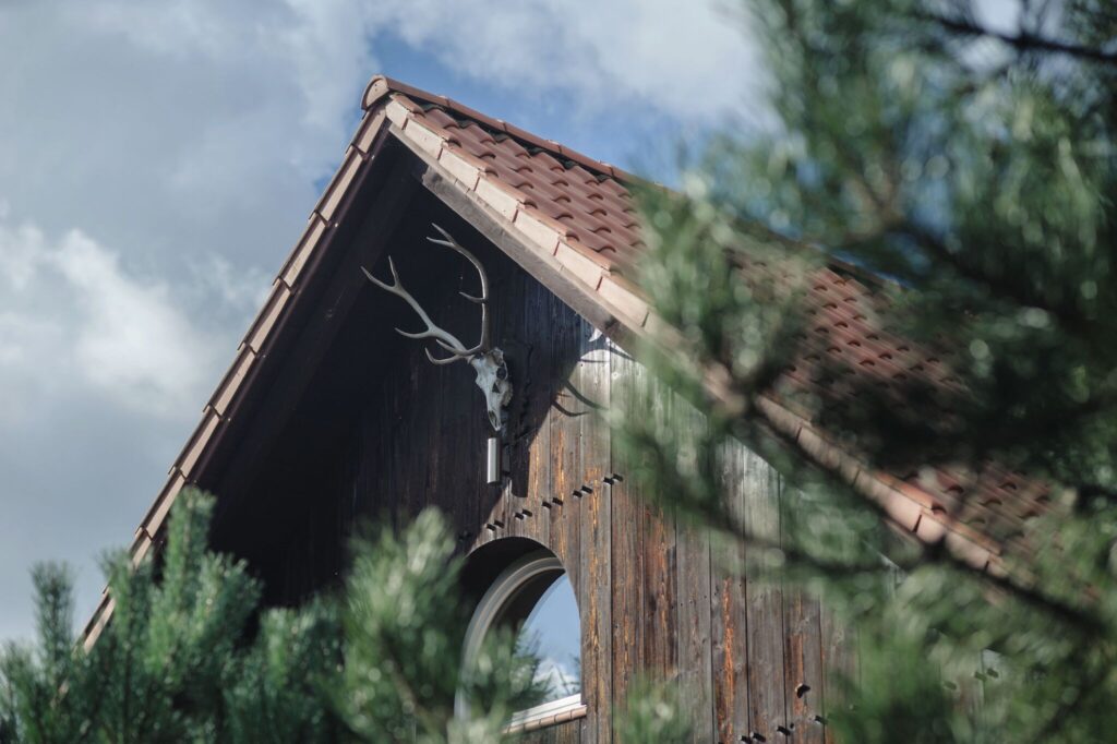 Dzień Pokazowy sobota 14.03. - zdjęcie 46