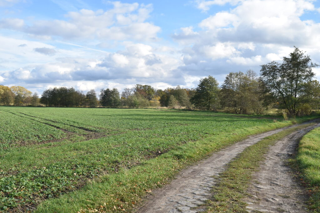 Ziemia rolnicza na sprzedaż. - zdjęcie 5
