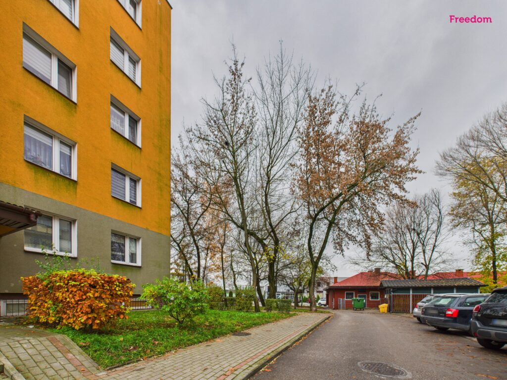 Do wynajęcia 3-pokojowe mieszkanie na Michałowie - zdjęcie 15