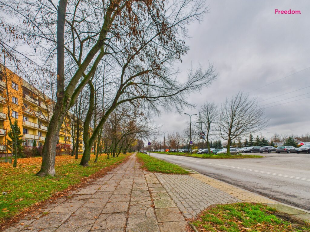 Do wynajęcia 3-pokojowe mieszkanie na Michałowie - zdjęcie 5