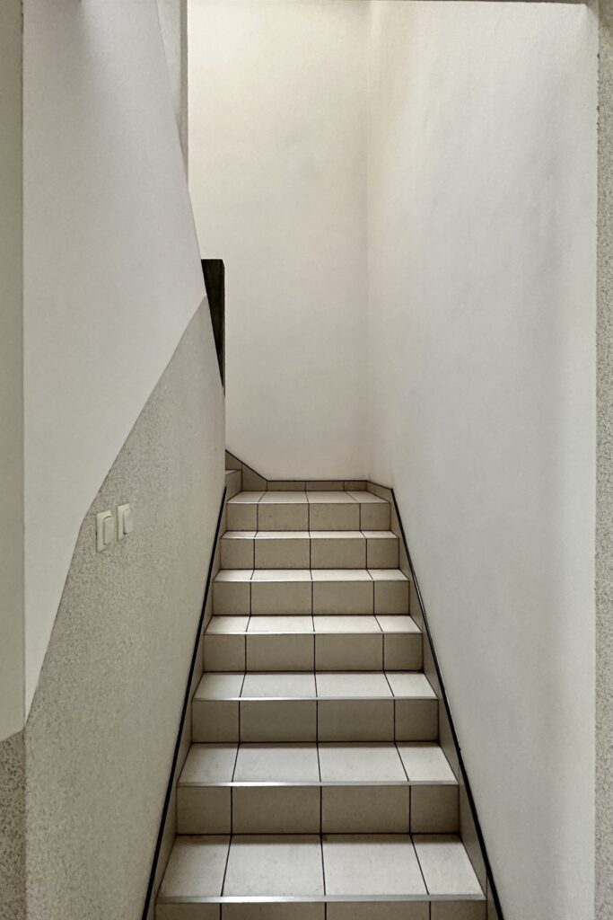 Duży dom z ogrodem w Bogucinie, 233 m² - zdjęcie 29