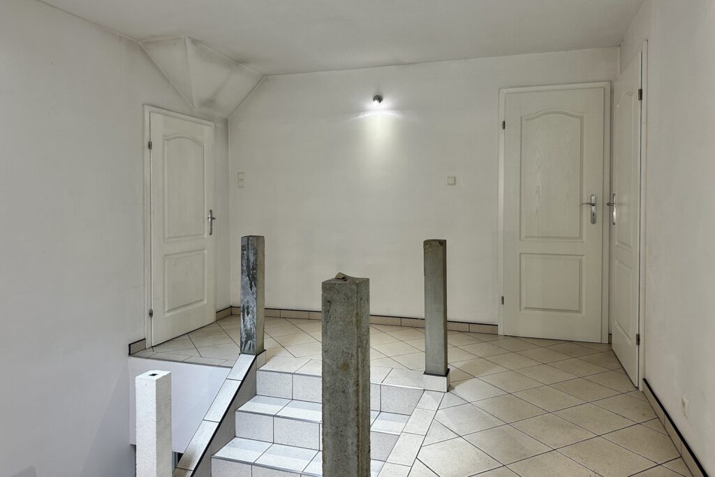 Duży dom z ogrodem w Bogucinie, 233 m² - zdjęcie 31