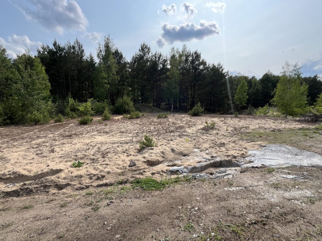 Działka w sąsiedztwie lasu Górsk/Czarne Błoto - zdjęcie 1