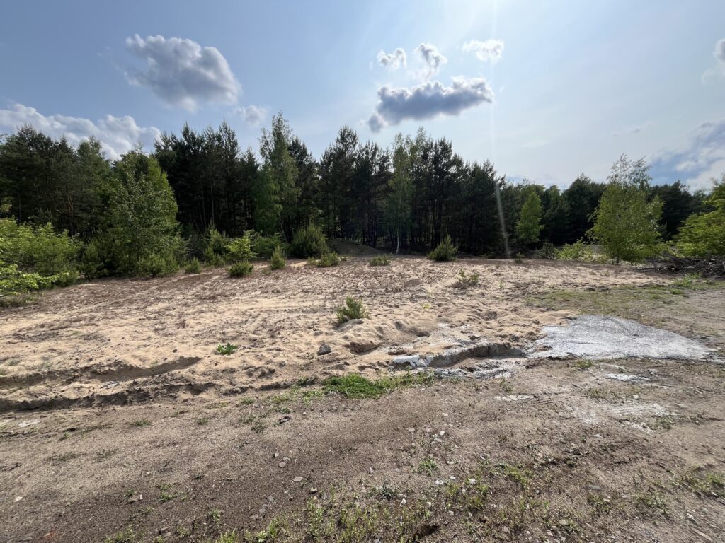 Działka w sąsiedztwie lasu Górsk/Czarne Błoto - zdjęcie 2