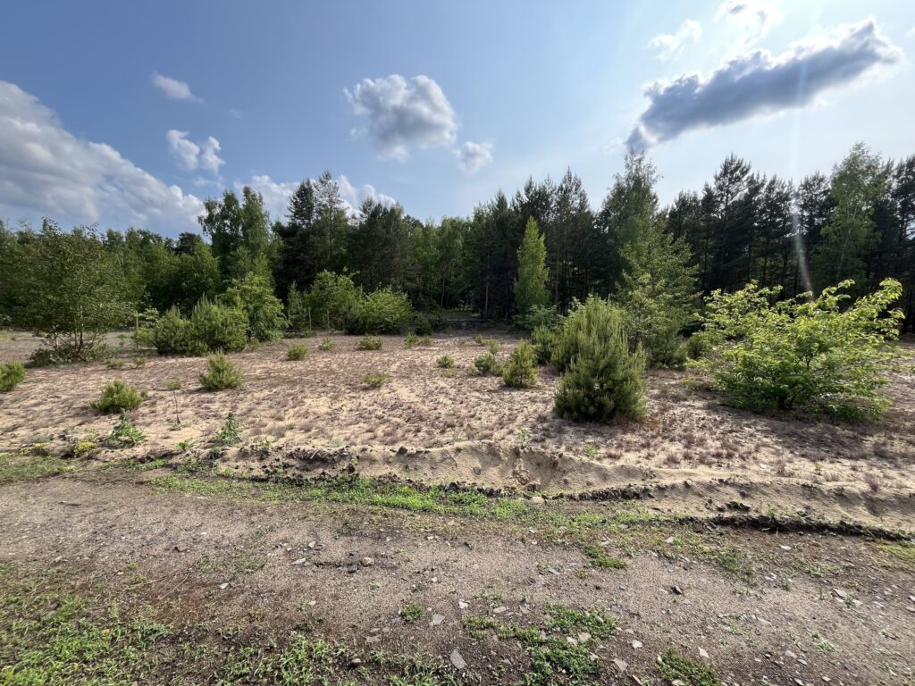 Działka w sąsiedztwie lasu Górsk/Czarne Błoto - zdjęcie 3