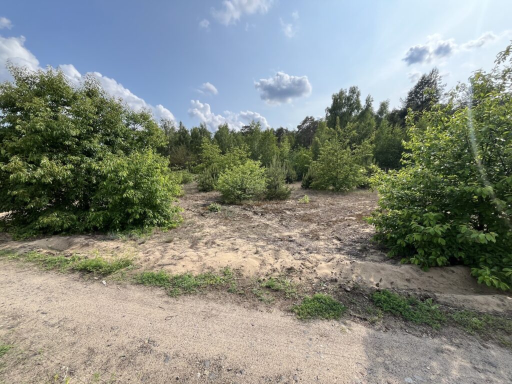 Działka w sąsiedztwie lasu Górsk/Czarne Błoto - zdjęcie 4