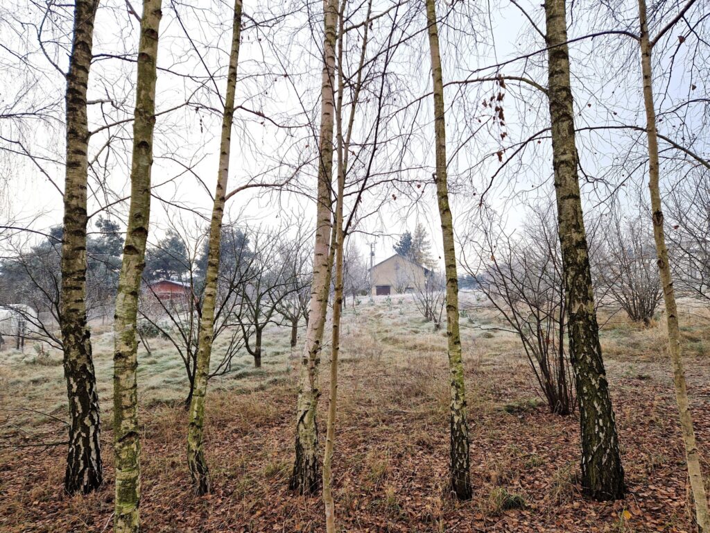 DOM na duzej działce 53 ARY z domem i WZ - zdjęcie 11