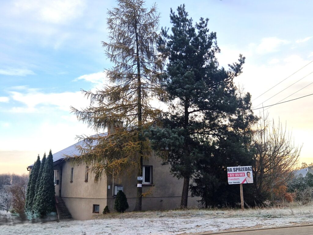 DOM na duzej działce 53 ARY z domem i WZ - zdjęcie 1