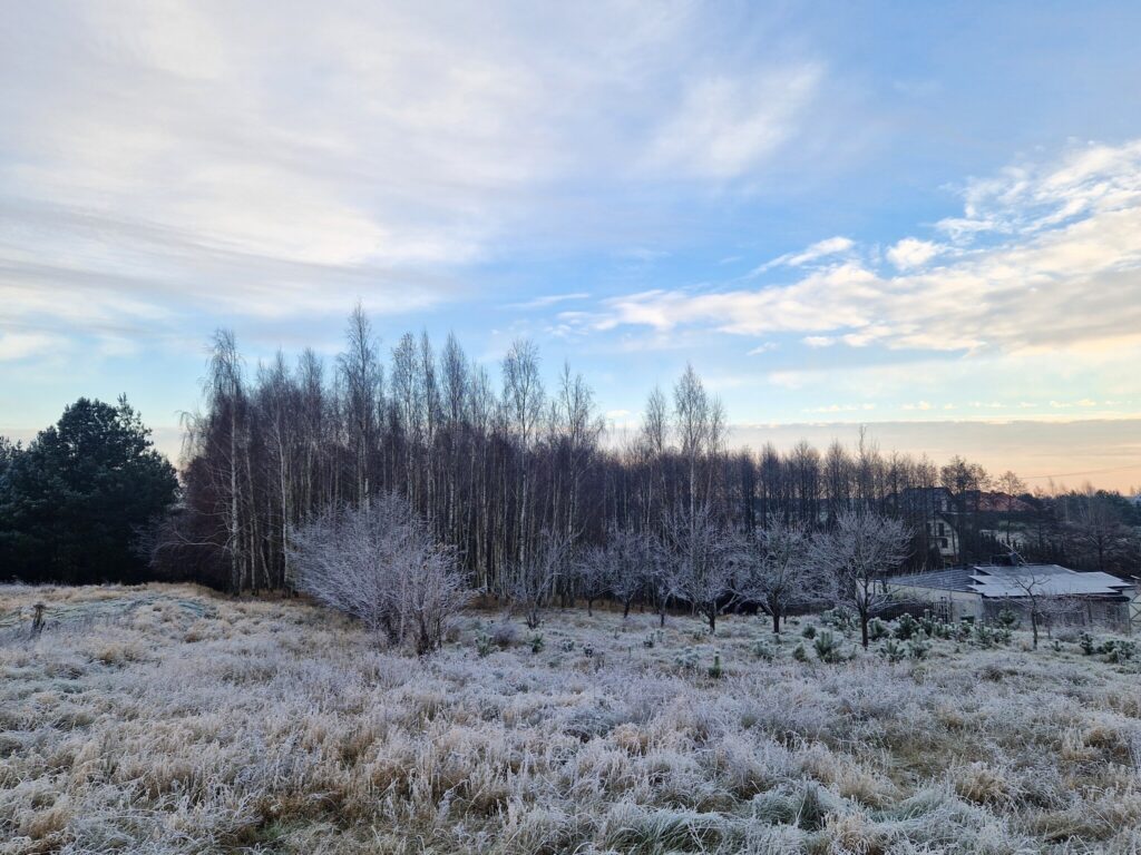 DOM na duzej działce 53 ARY z domem i WZ - zdjęcie 12