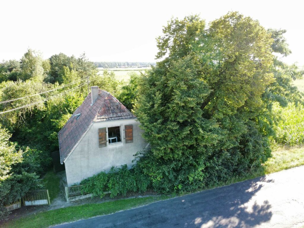 Urokliwa działka z domem i lasem - Twój azyl! - zdjęcie 4