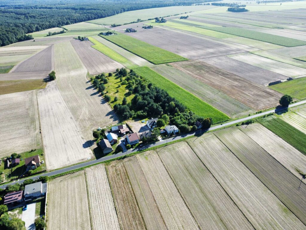 Urokliwa działka z domem i lasem - Twój azyl! - zdjęcie 8