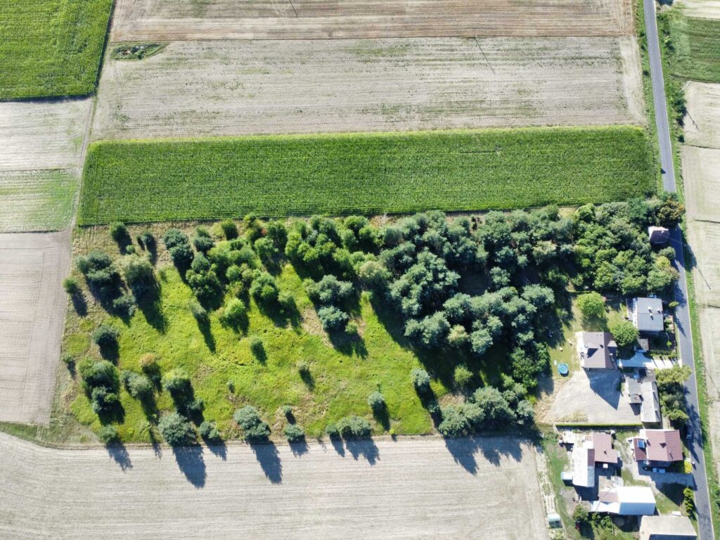 Urokliwa działka z domem i lasem - Twój azyl! - zdjęcie 9