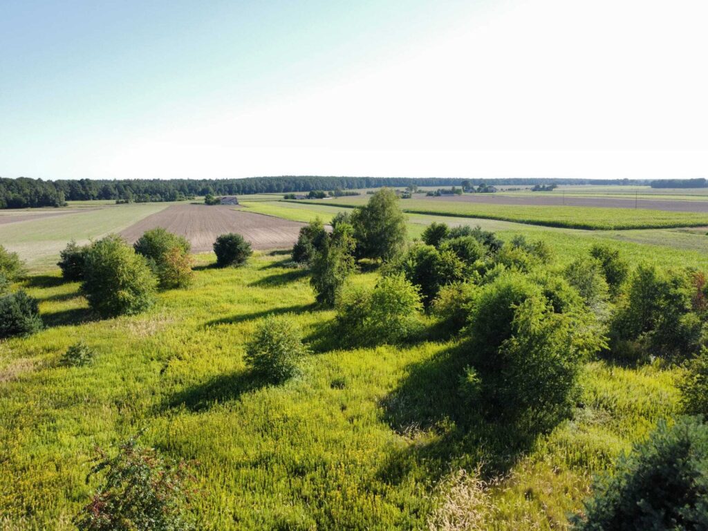 Urokliwa działka z domem i lasem - Twój azyl! - zdjęcie 10