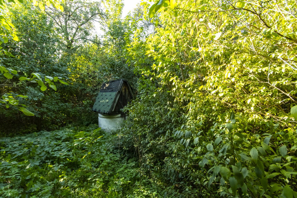 Urokliwa działka z domem i lasem - Twój azyl! - zdjęcie 24