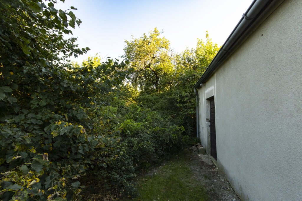 Urokliwa działka z domem i lasem - Twój azyl! - zdjęcie 25