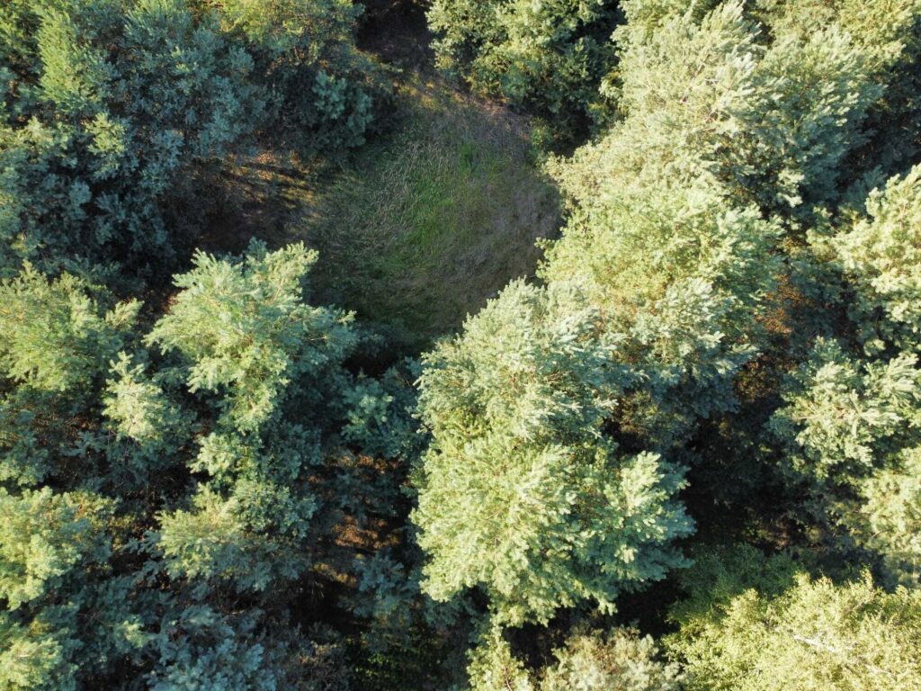 Urokliwa działka z domem i lasem - Twój azyl! - zdjęcie 28