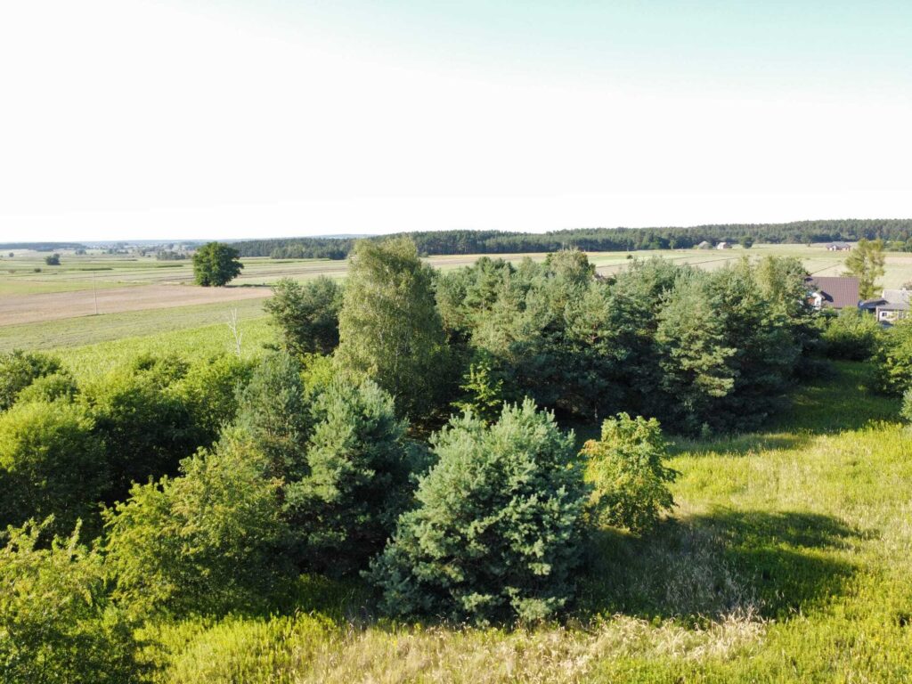 Urokliwa działka z domem i lasem - Twój azyl! - zdjęcie 29