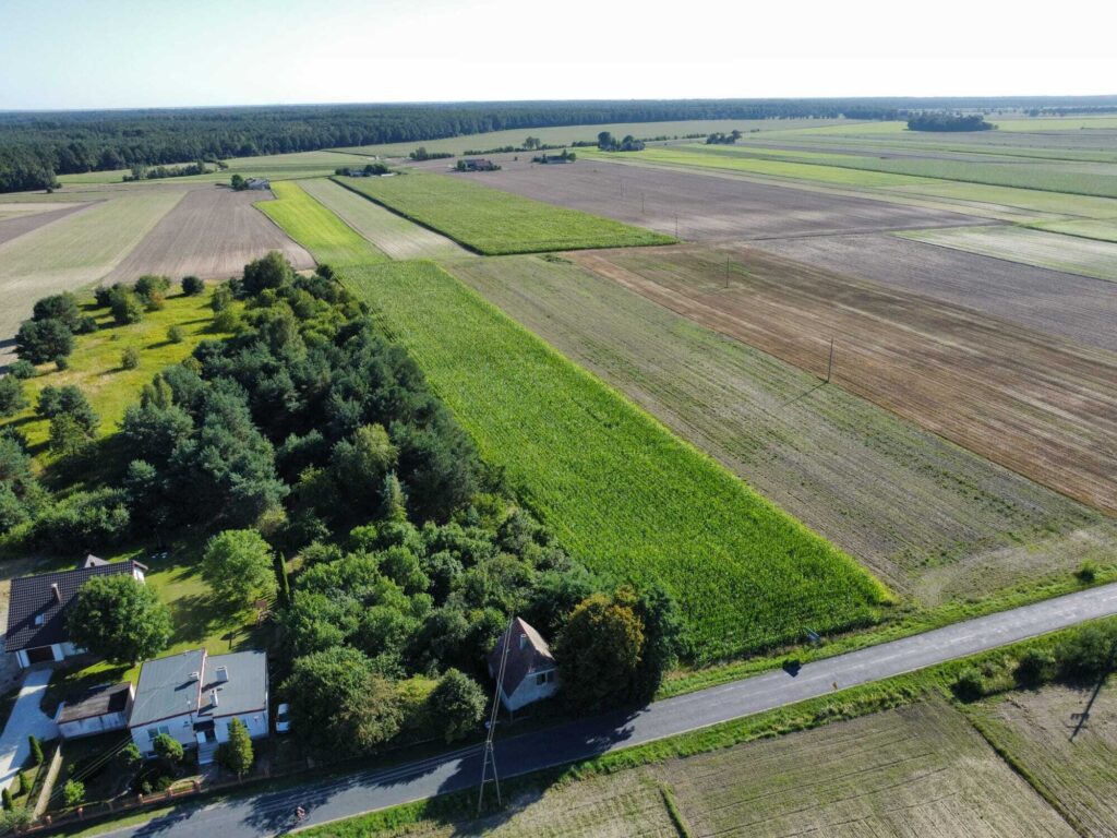 Urokliwa działka z domem i lasem - Twój azyl! - zdjęcie 31