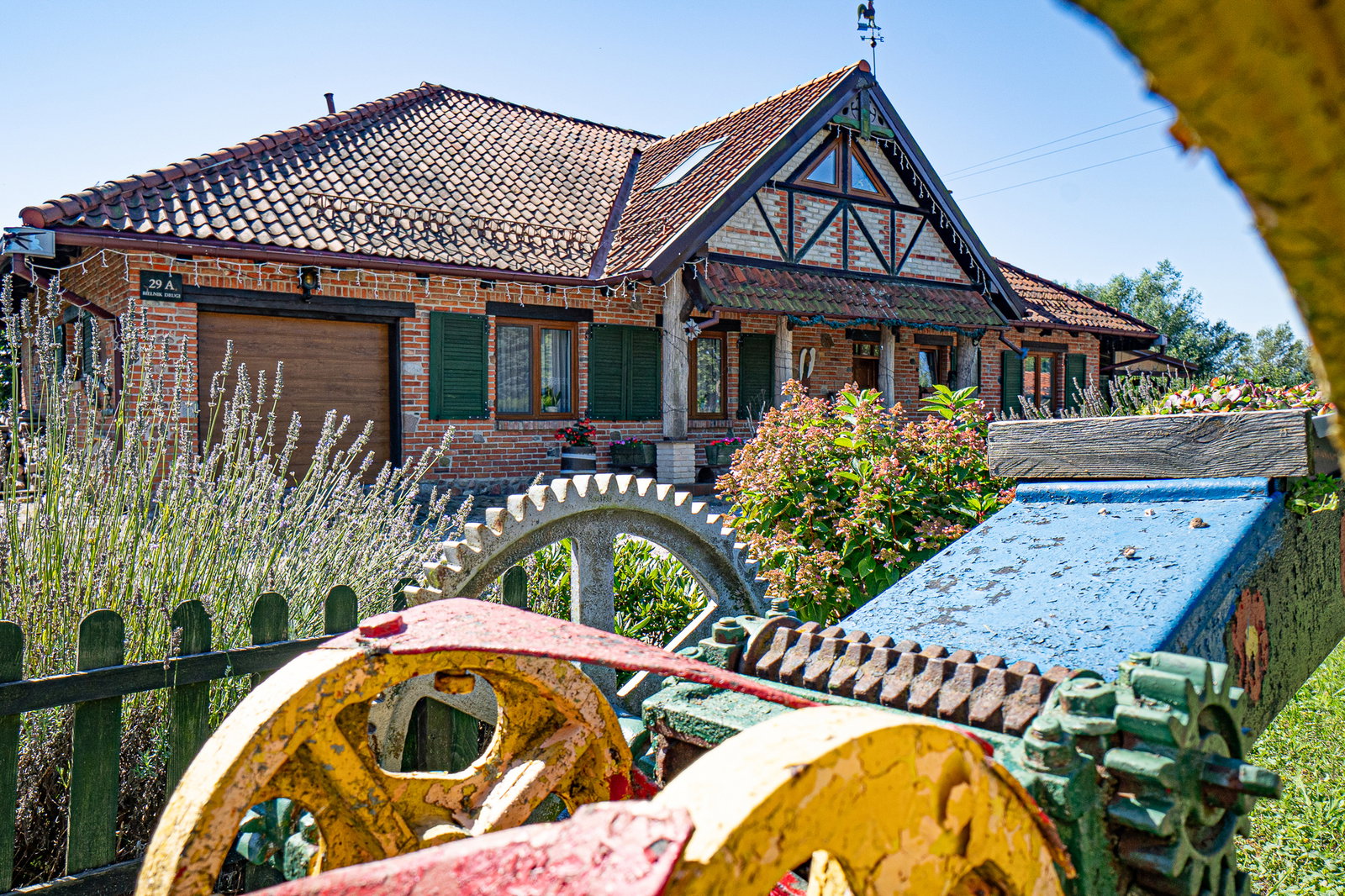 Zdjęcie 21