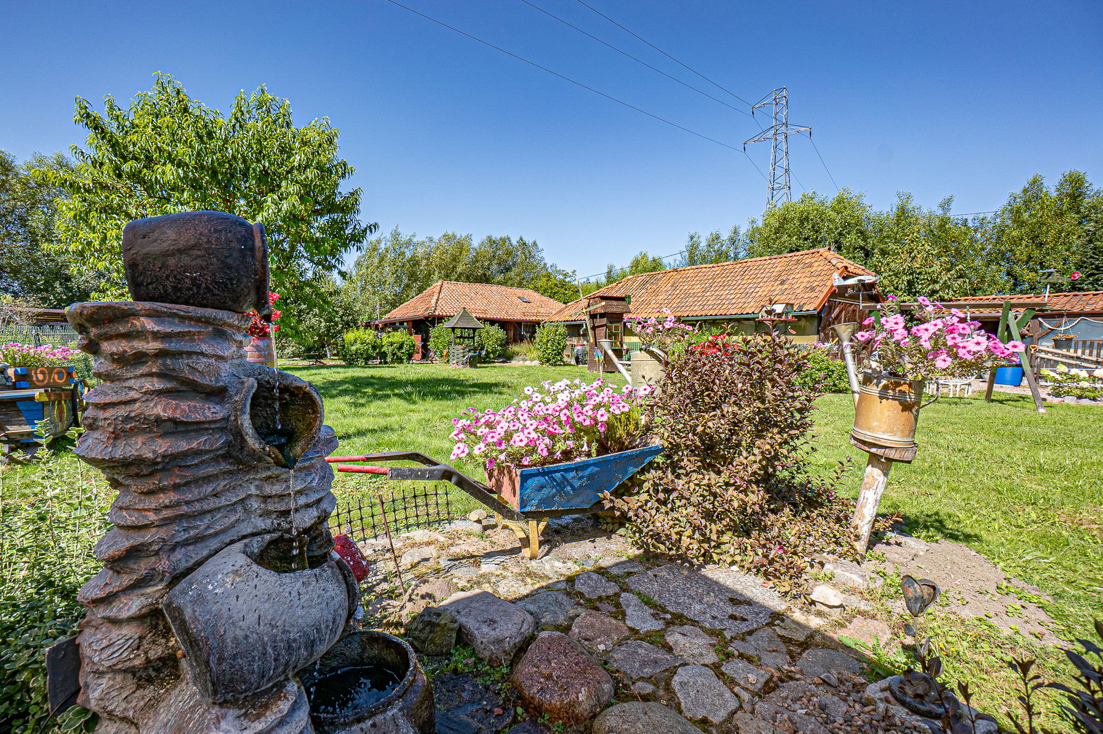 Zdjęcie 25