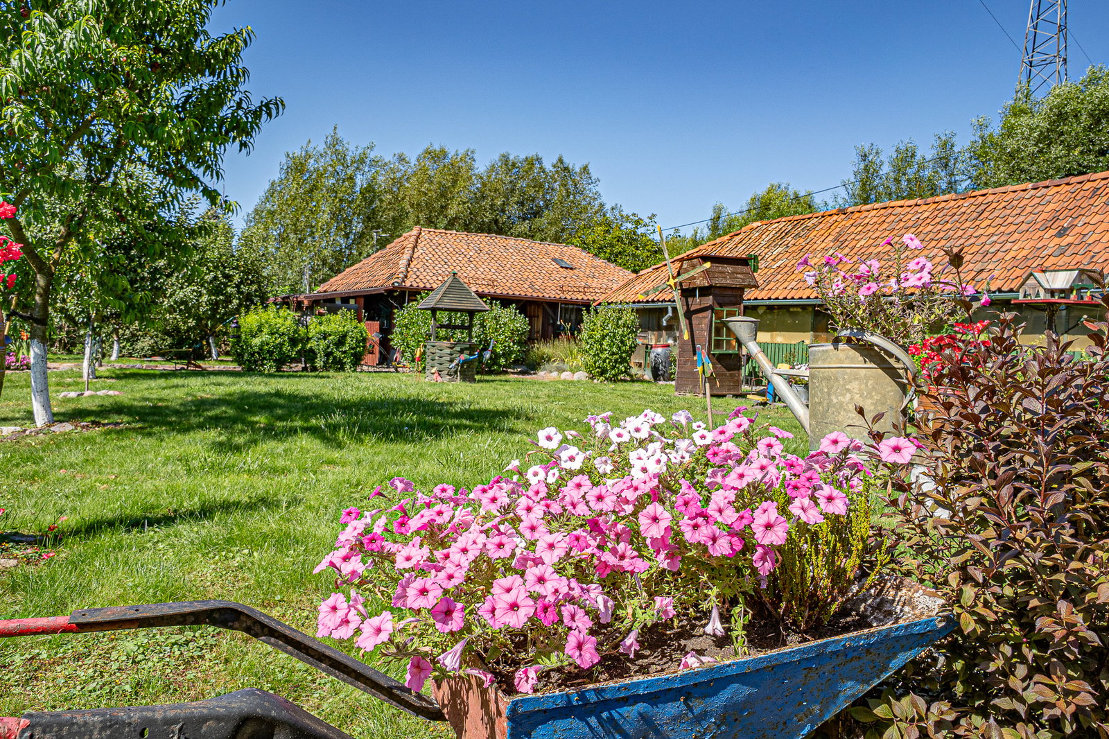 Zdjęcie 26