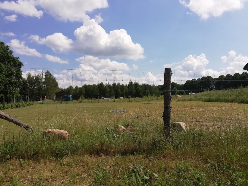 Ładna działka pod lasem - zdjęcie 8