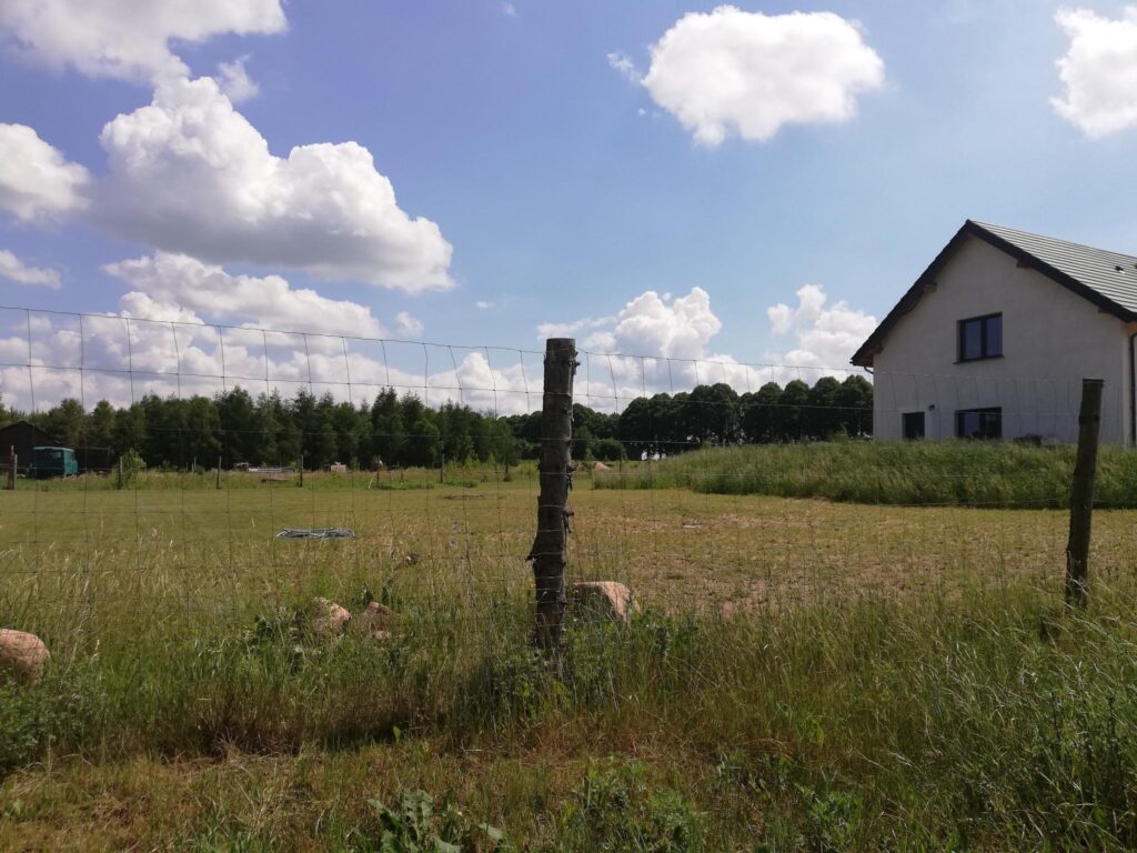 Ładna działka pod lasem - zdjęcie 6