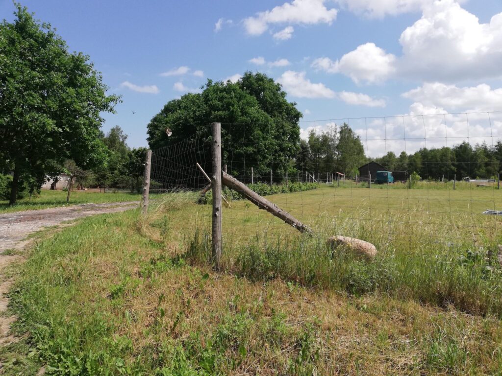 Ładna działka pod lasem - zdjęcie 7