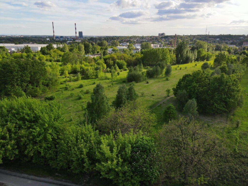 Teren inwestycyjny przy ul. Rutki Laskier - zdjęcie 3