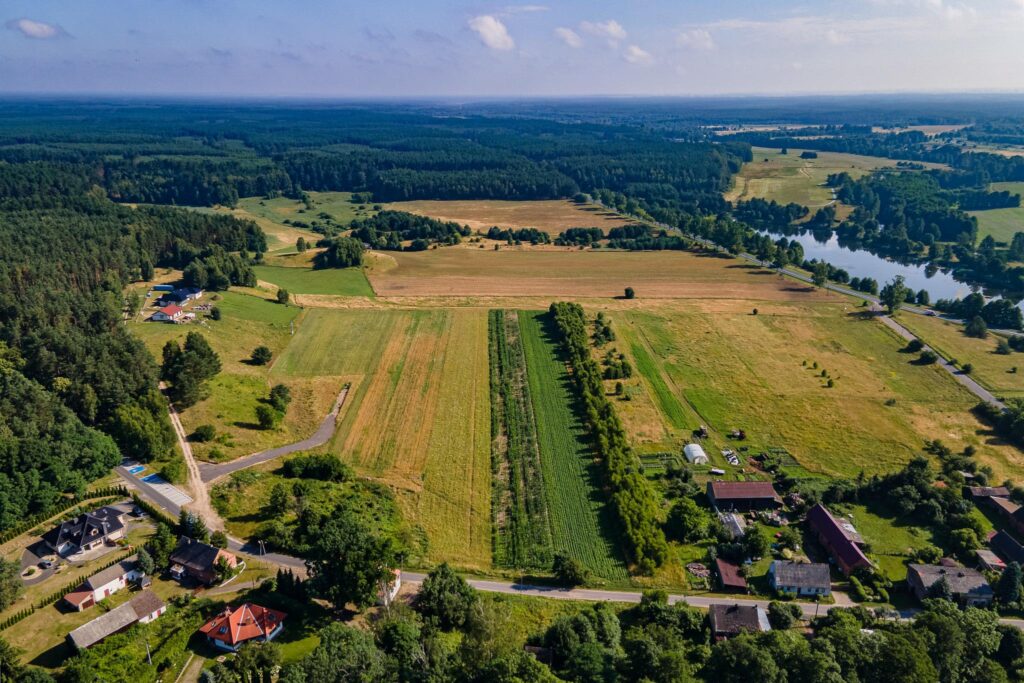 Działka rolna Krępsko (gm. Szydłowo) - zdjęcie 2