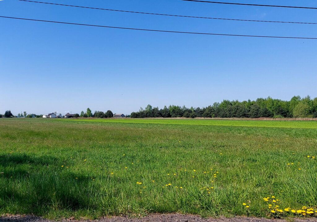 Popielów - działka budowlana 25arów, aktualny MPZP - zdjęcie 1