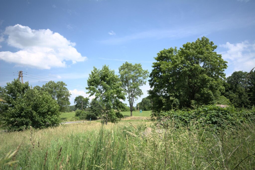 Działka przy krajowej 16, trasa Olsztyn - Augustów - zdjęcie 3