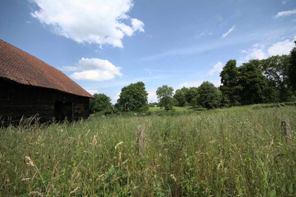 Działka przy krajowej 16, trasa Olsztyn - Augustów - zdjęcie 4