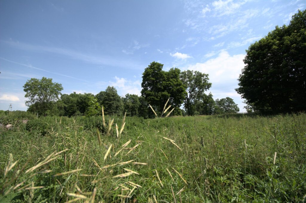 Działka przy krajowej 16, trasa Olsztyn - Augustów - zdjęcie 6