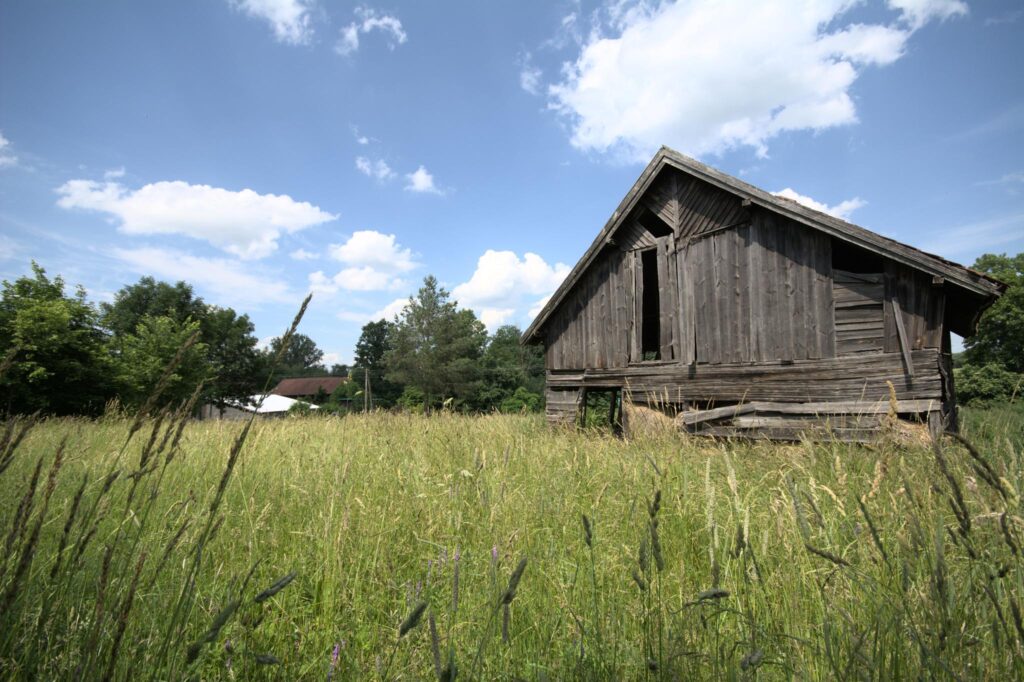 Działka przy krajowej 16, trasa Olsztyn - Augustów - zdjęcie 7