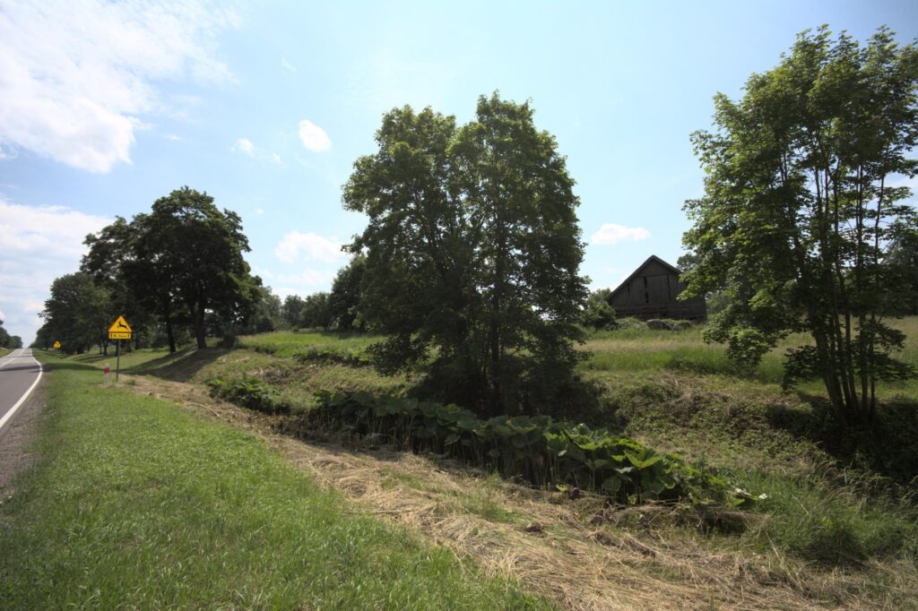 Działka przy krajowej 16, trasa Olsztyn - Augustów - zdjęcie 9