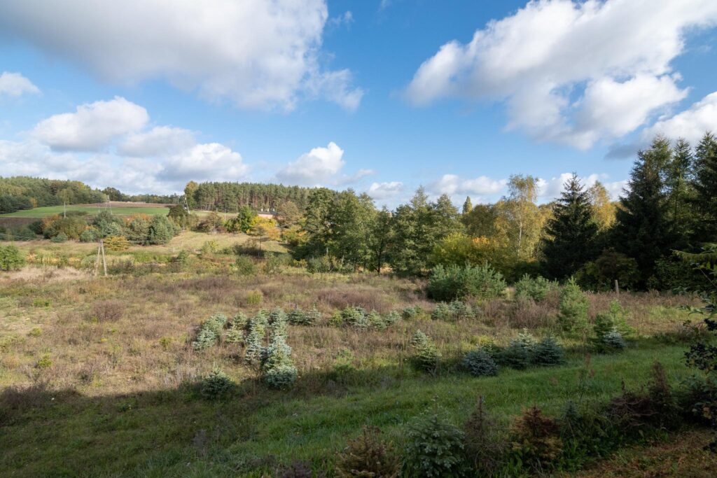 ATRAKCYJNE DZIAŁKI KACZORY - zdjęcie 5