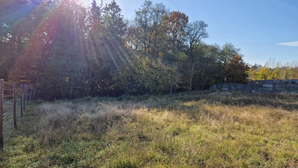 Piękna działka z dostępem do linii brzegowej rzeki - zdjęcie 10