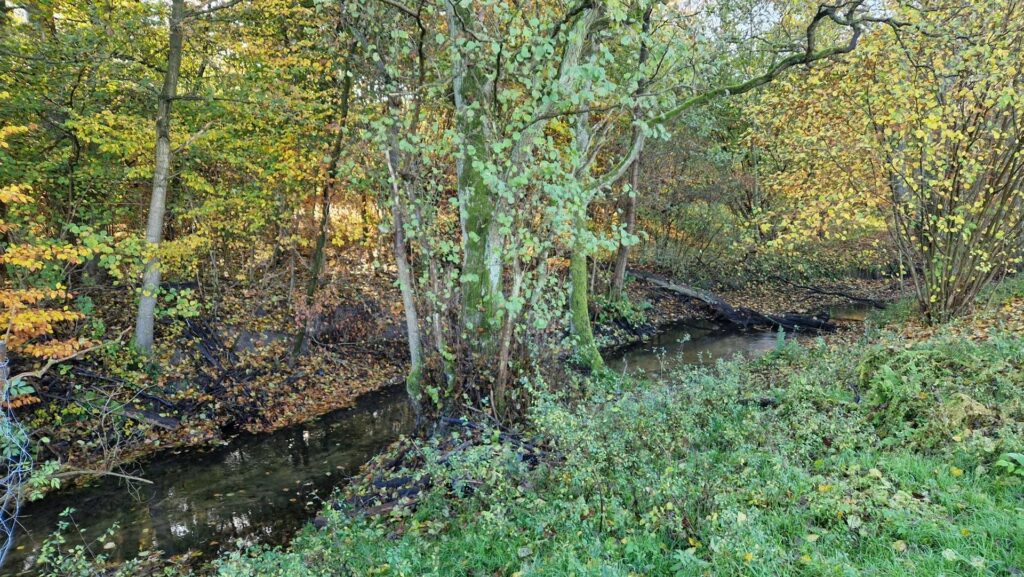 Piękna działka z dostępem do linii brzegowej rzeki - zdjęcie 11