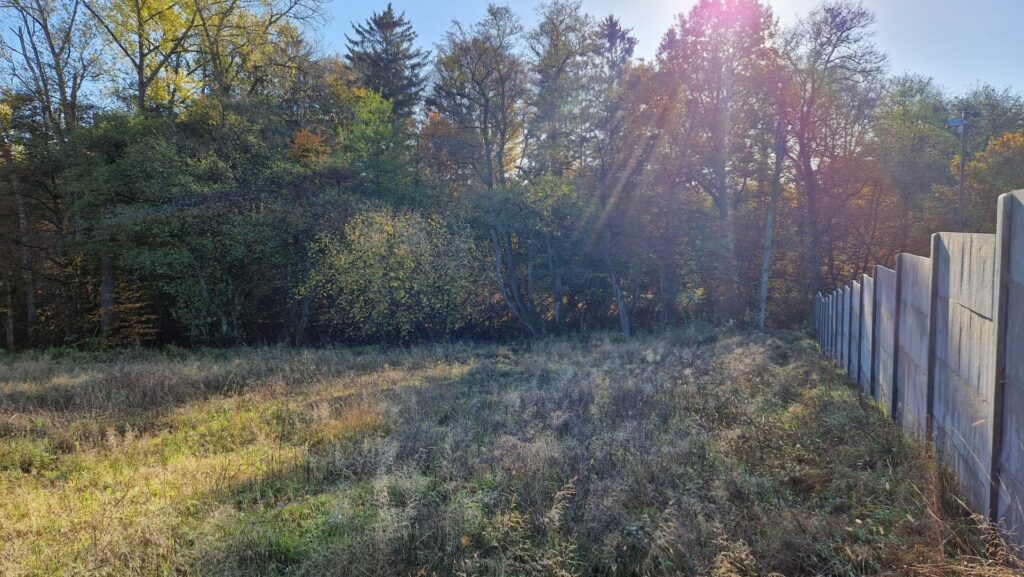Piękna działka z dostępem do linii brzegowej rzeki - zdjęcie 12